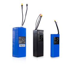 전기 스쿠터 배터리